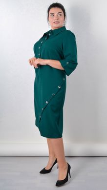 Un abito elegante per donne sinuose. Emerald.485140226 485140226 foto