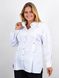 Office women's blouse on a Plus size. White.485142415 485142415 photo 1