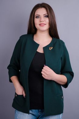 Female jacket of Plus sizes. Emerald.485130909 485130909 photo